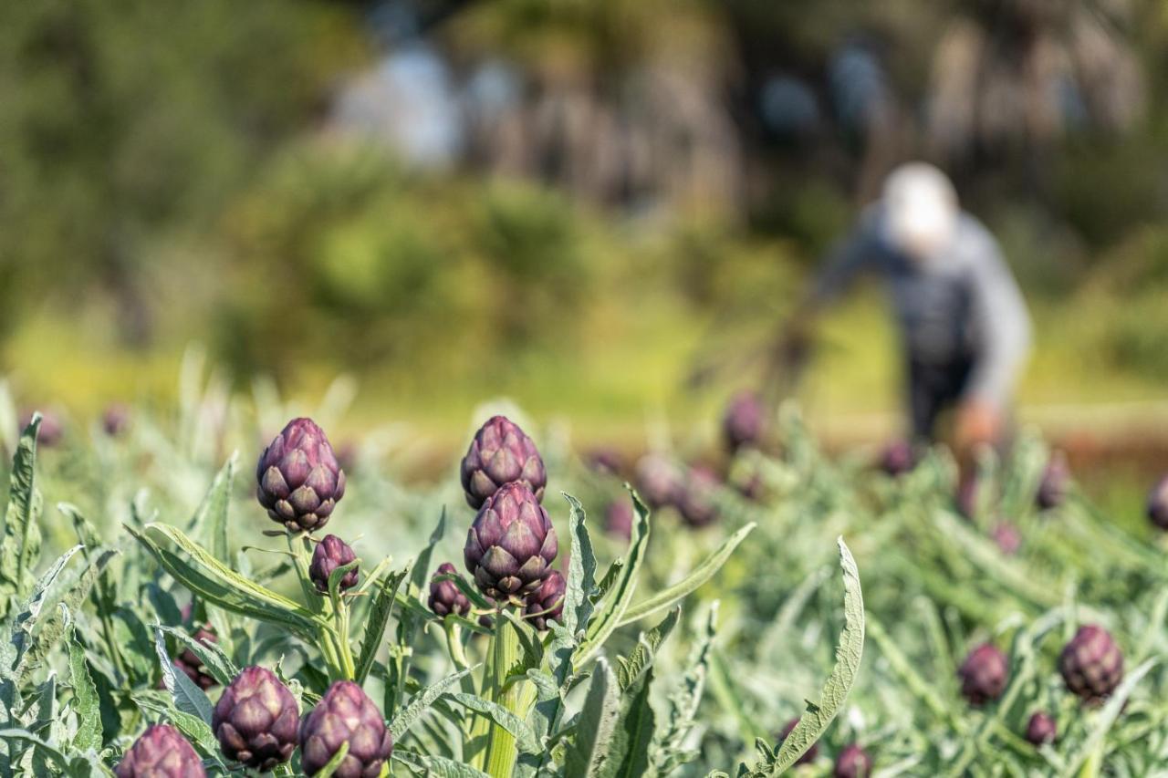 Masseria Palombara Relais & Spa - Adults Only マンドゥーリア エクステリア 写真