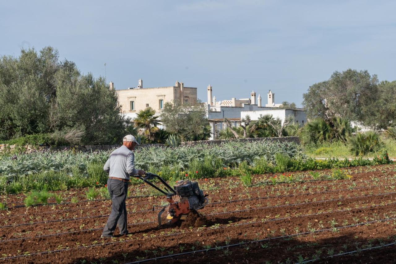 Masseria Palombara Relais & Spa - Adults Only マンドゥーリア エクステリア 写真