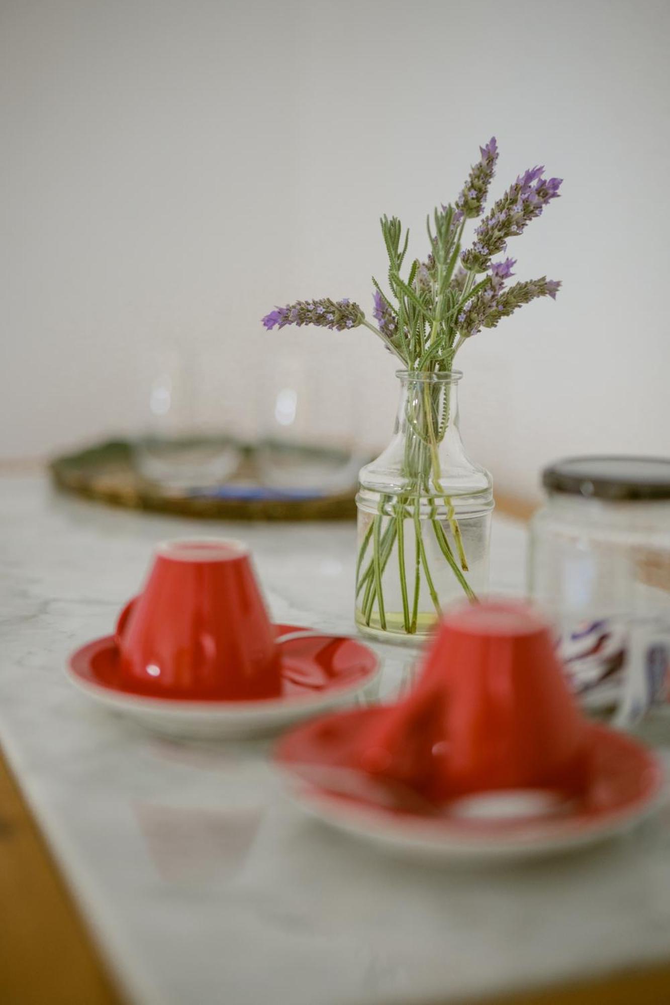 Masseria Palombara Relais & Spa - Adults Only マンドゥーリア 部屋 写真